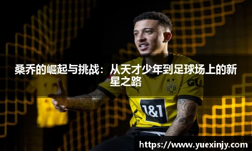 完美体育在线入口官网