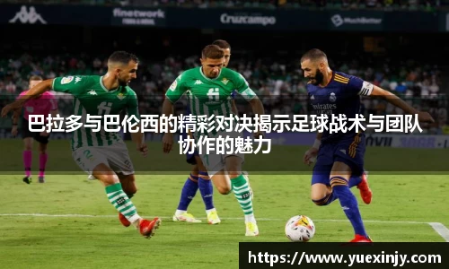完美体育在线入口官网