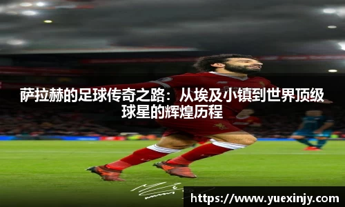完美体育
