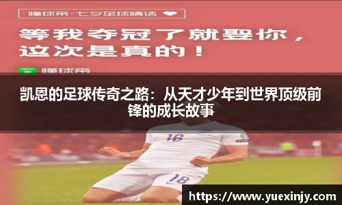 完美体育
