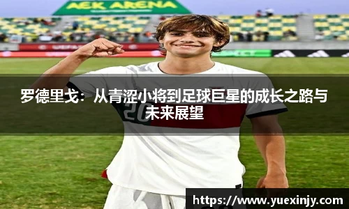 完美体育在线入口官网