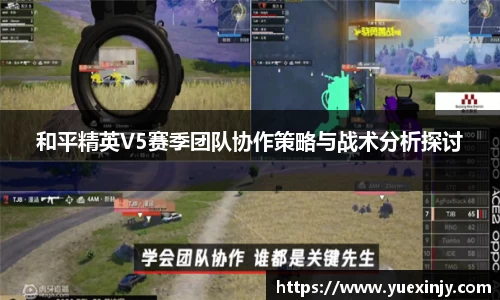 完美体育官网